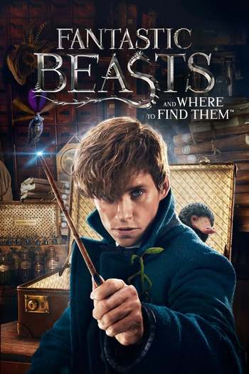 Read more about the article Fantastic Beasts and Where to Find Them (2016) Dual Audio [Hindi+English] Bluray Download | 480p [450MB] | 720p [1.1GB] | 1080p [2.8GB]