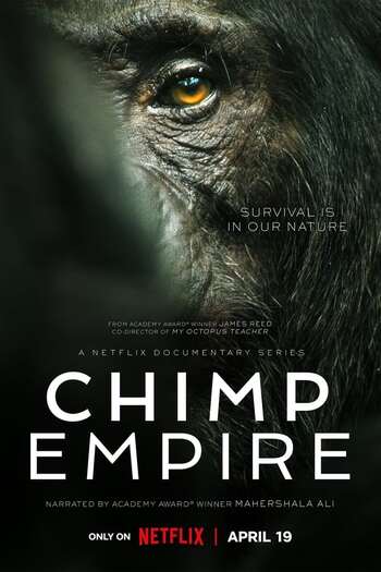 Read more about the article Chimp Empire (2023) Season 1 Dual Audio [Hindi+English] Web-DL {Episode 04 Added} Download 720p