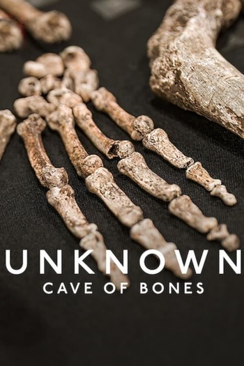 Read more about the article Unknown: Cave of Bones (2023) Dual Audio [Hindi-English] WEB-DL Download 480p [320MB] | 720p [850MB] | 1080p [2GB]